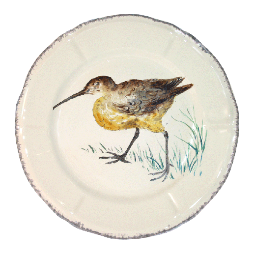 grands-oiseaux-plate-becasse