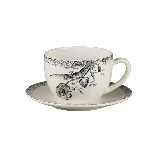 tulipes-noires-jumbo_1