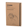 pack-ouvert